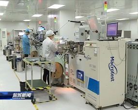 緊扣一體化，推動高質量 晶科微電子的全方位深層次接軌上海之路